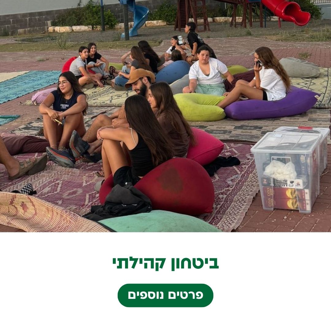ביטחון קהילתי