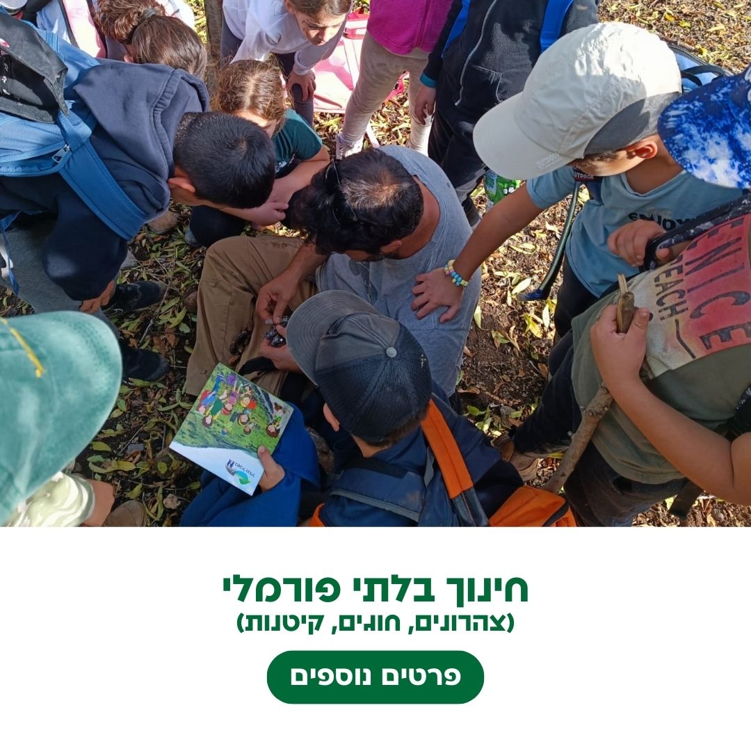 חינוך בלתי פורמלי (צהרונים, חוגים, קיטנות)