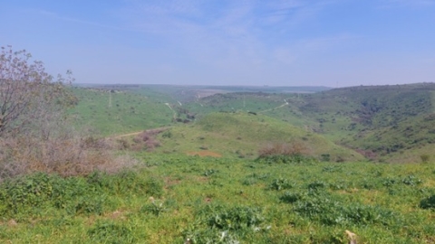 נוף.jpg