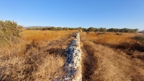 שרידי קיר.jpg