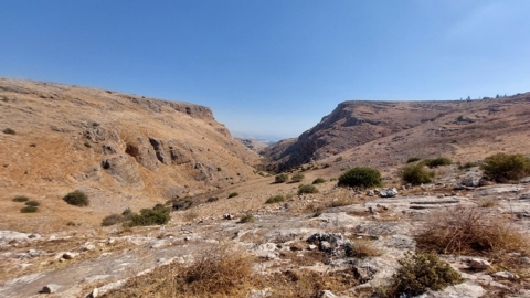 שמורת ארבל.jpg