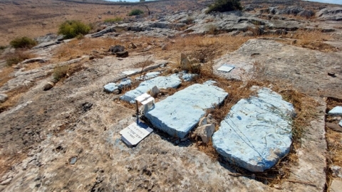 ראובן, שמעון, לוי ודינה.jpg